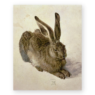 hare-art-print_Featured