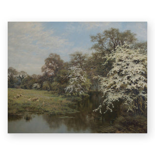 hawthorn-blossom-art-print_Featured