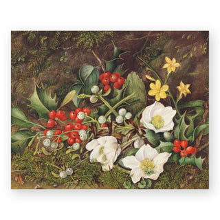 holly-and-christmas-roses-art-print_Featured