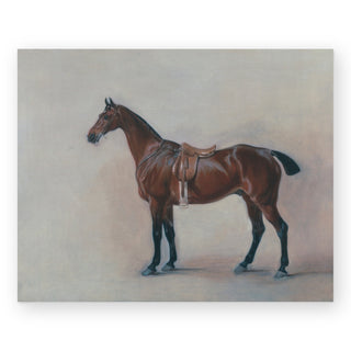 horse-study-art-print_Featured