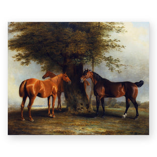horses-at-grass-art-print_Featured
