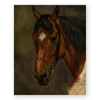 horses-head-art-print_Featured
