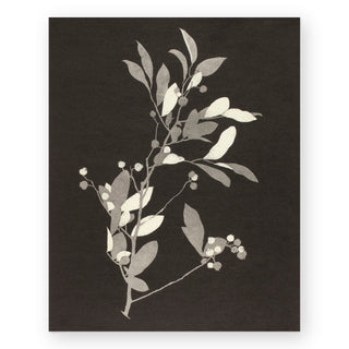 huckleberry-art-print_Featured