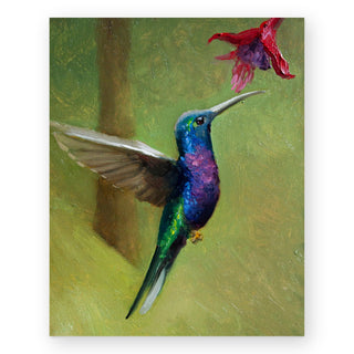 hummingbird-art-print_Featured