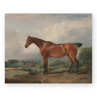 hunter-ii-art-print_Featured