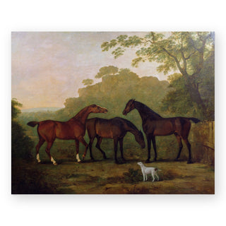 hunters-at-grass-ferneley-art-print_Featured