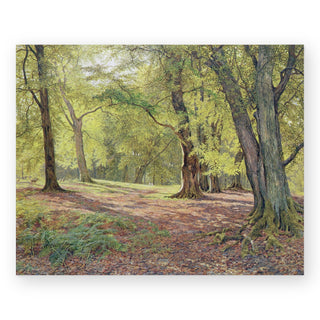 in-the-beechwoods-art-print_Featured