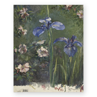 iris-study-art-print_Featured