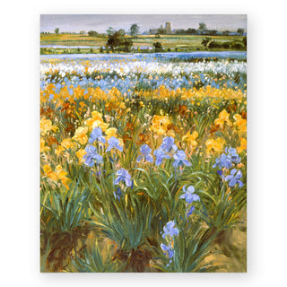 irises-and-burgate-church_Featured