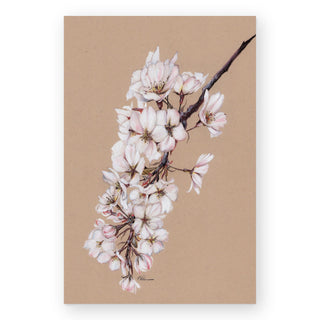 japanese-cherry-blossoms-art-print_Featured
