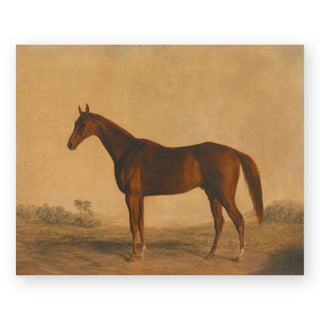 john-bascombe-equestrian-art-print_Featured