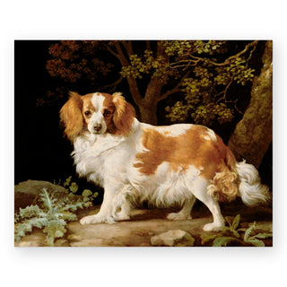 king-charles-spaniel-in-a-wooded-landscape-art-print_Featured