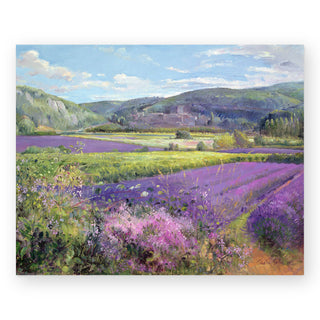 lavender-fields-in-old-provence_Featured