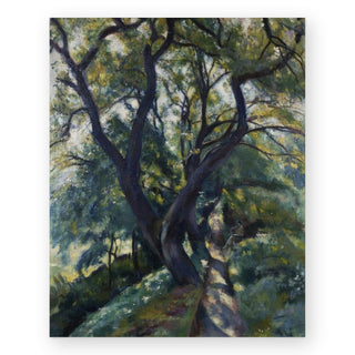live-oak-art-print_Featured