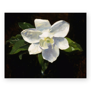 magnolia-art-print-1_Featured