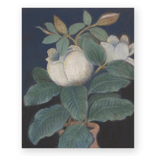 magnolia-blossoms-vertical-art-print_Featured