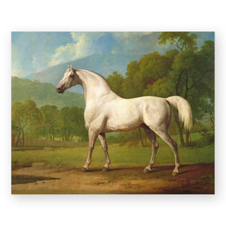 mambrino-art-print_Featured