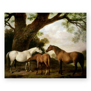 mares-and-foal-art-print_Featured