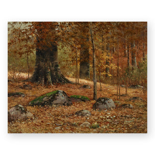 monarch-beech-art-print_Featured