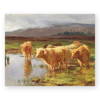 moorlands-and-mist_Featured
