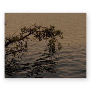 moving-waters-photography-hope-bainbridge-art-print_Featured