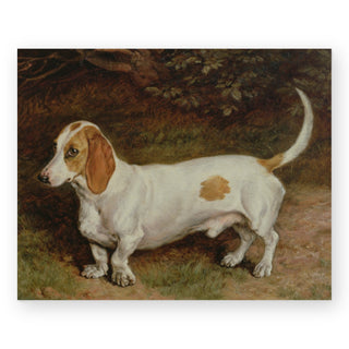 my-favorite-dachshund-art-print_Featured