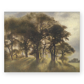 near-fortunen-north-deer-park-art-print_Featured
