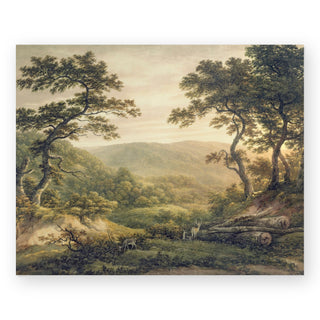 needlewood-forest-hampshire-art-print_Featured