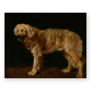 newfoundland-art-print_Featured