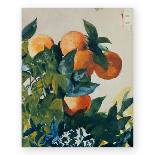 oranges-on-a-branch-art-print_Featured