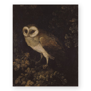 owl-art-print_Featured