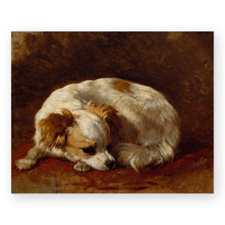 papillon-art-print_Featured