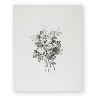 peony-sketch-ii-art-print_Featured