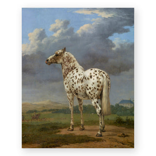 piebald-horse-art-print_Featured