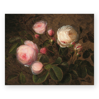 pink-and-white-roses-art-print_Featured