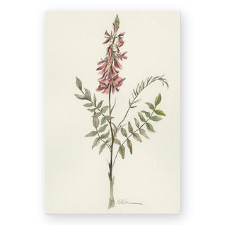 pink-hedysarum-art-print_Featured