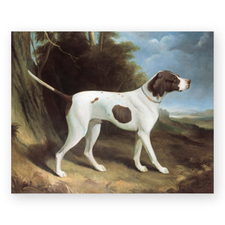 portrait-of-a-liver-and-white-pointer-art-print_Featured