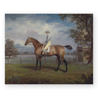 portrait-of-a-racehorse-art-print_Featured
