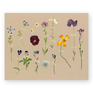 pressed-wildflowers-art-print_Featured