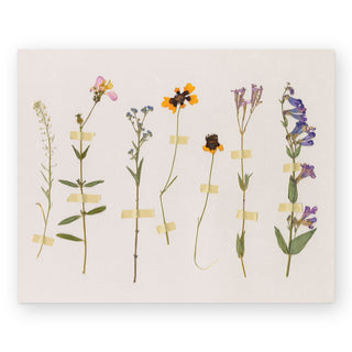 pressed-wildflowers-brittany-smith-art-print_Featured
