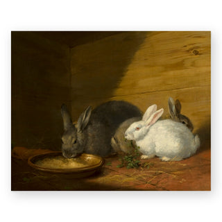 rabbits-george-morland-art-print_Featured
