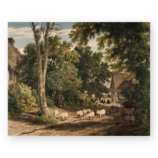 returning-sheep-art-print_Featured