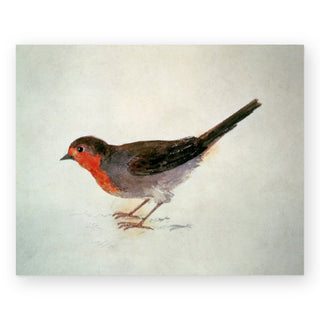 robin-joseph-mallord-william-turner-art-print_Featured
