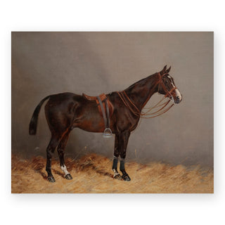 sailor-equestrian-art-print_Featured