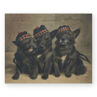 scots-tried-and-true-art-print_Featured