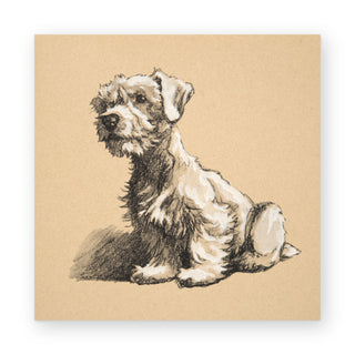 sealyham-art-print_Featured