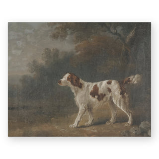 setter-art-print_Featured
