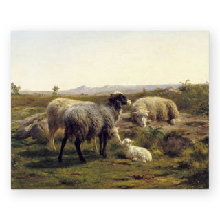 sheep-and-lambs-art-print_Featured