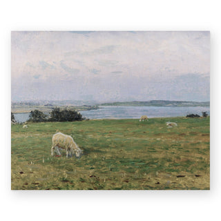 sheep-grazing-art-print_Featured