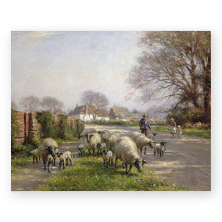sheep-in-spring-art-print_Featured